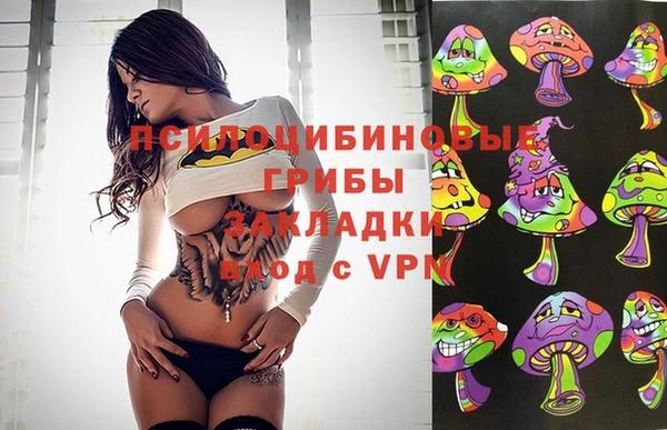 стафф Краснотурьинск