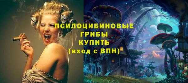 МДМА Краснослободск