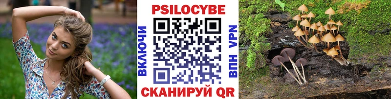 Купить закладки Краснослободск Псилоцибиновые грибы прущие грибы